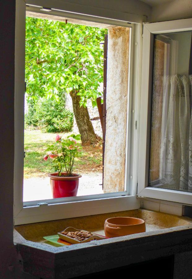Casa Istriana Nona Pina Villa Kaštelir Exterior foto